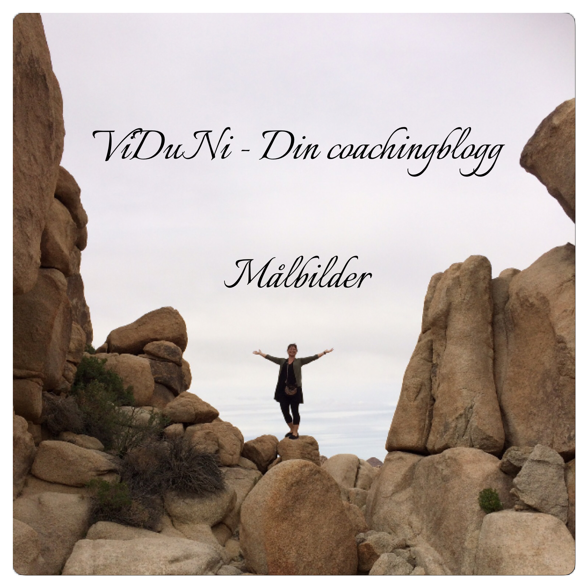 Målbilder är bra att ha.